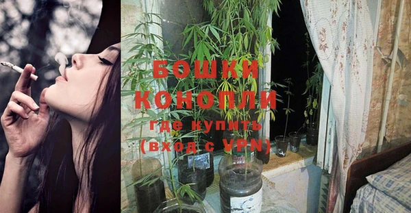 эйфоретик Вяземский