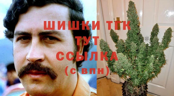 эйфоретик Вяземский