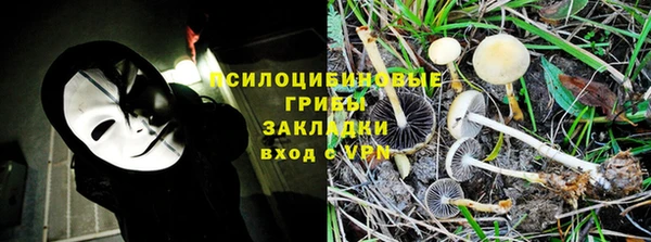прущие крисы Володарск