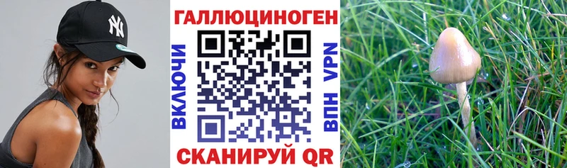 МЕГА онион  Ирбит  Галлюциногенные грибы ЛСД 